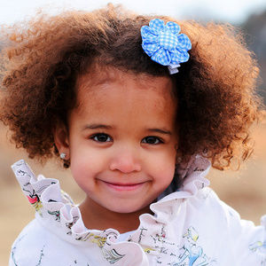 Blue Gingham Flower Hair Clip, Pony, Headband